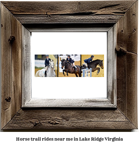 horse trail rides near me in Lake Ridge, Virginia